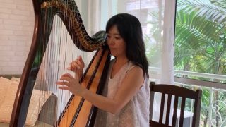 ✨希少✨東京都 神奈川県 引き取り限定　Artone Harp 36弦　ハープ アオヤマ NON-PEDAL HARP ARTEMIS｜マツヤマ楽器 Online Shop